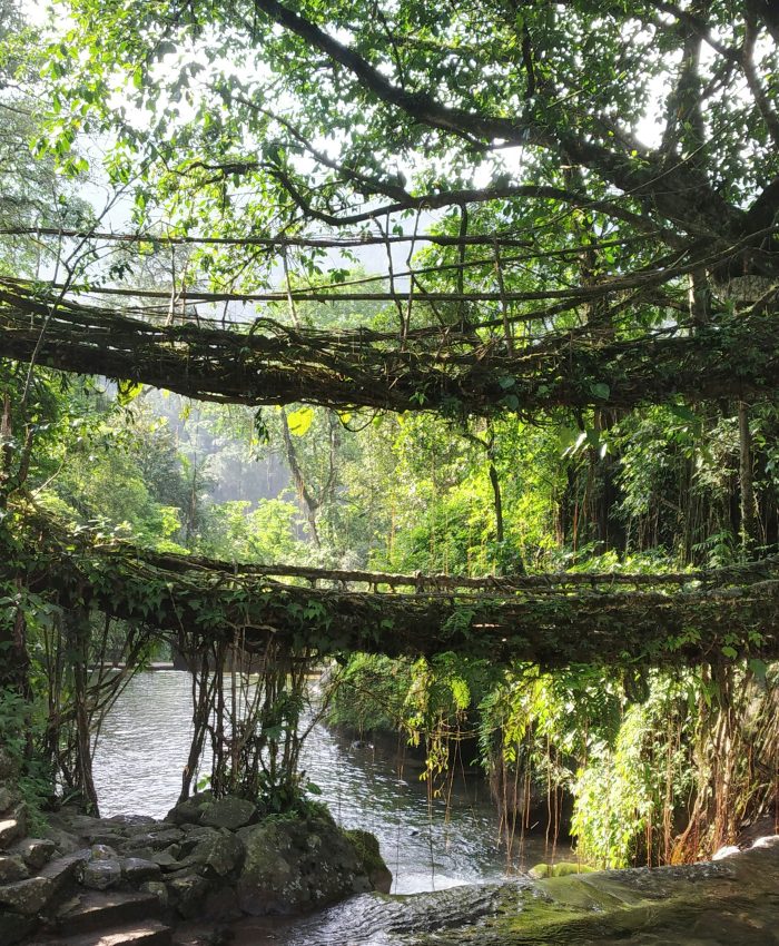 North East Tour Package for Senior Citizens